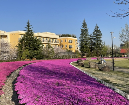 ミササガパーク